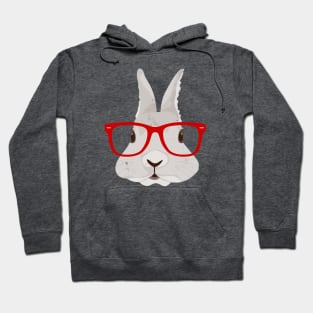 Smart Bunny Hoodie